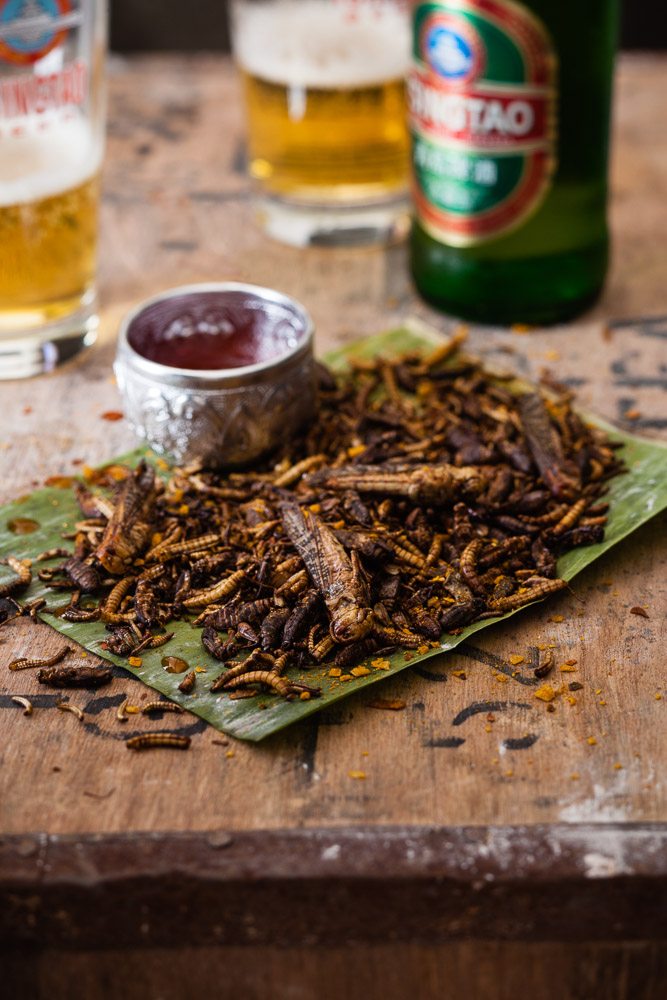 Insects and beer